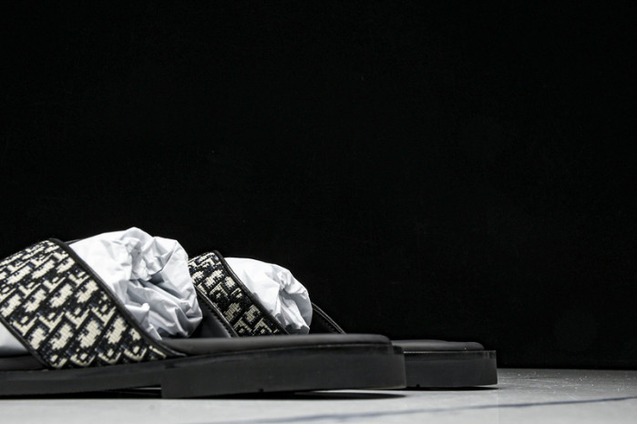 D1R* SLIDE copshoe DR-SLIDE 020