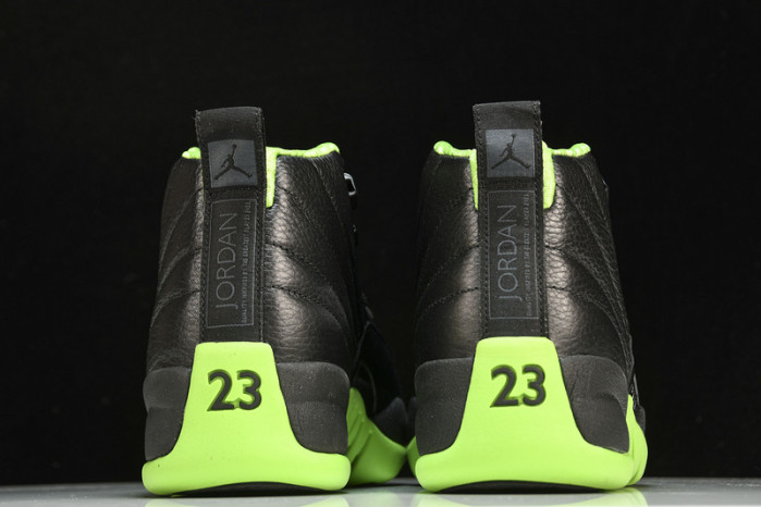 air jordan 12 black/green dr8887-101